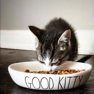 RAE DUNN “GOOD KITTY” Pet Treat Water Cat Bowl